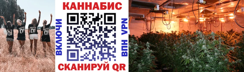 Купить закладку МАРИХУАНА Кокаин A-PVP Мефедрон Гашиш Ишим