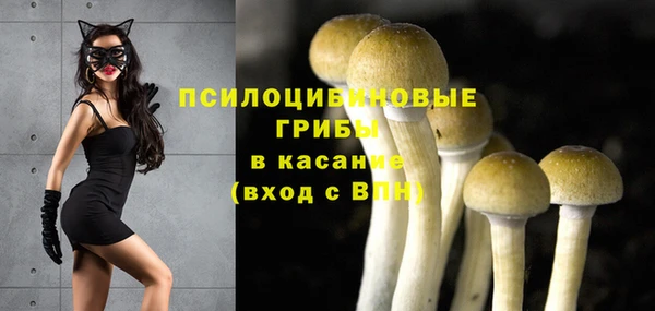 ECSTASY Аркадак