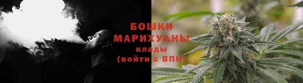 амф Арсеньев