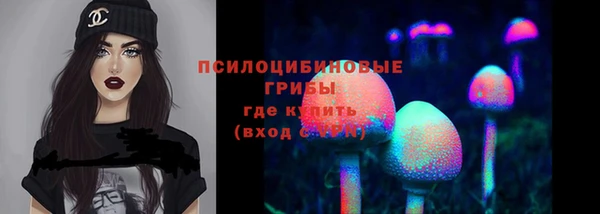 ECSTASY Аркадак