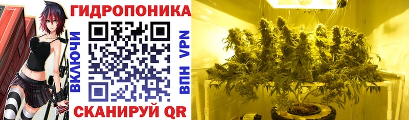 Марихуана семена  Купить  Ишим 